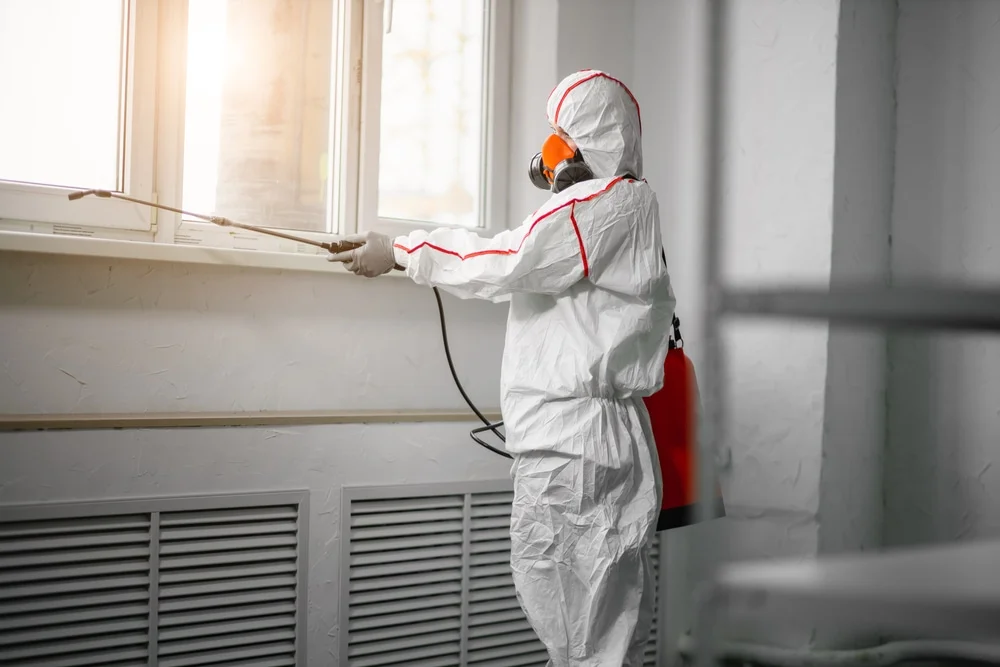 Professional mold remediation services in Mount Gilead, OH